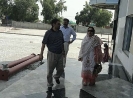 QIH Update August 2011