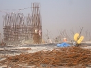 QIH Update December 2009