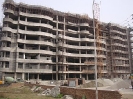 QIH Update February 2009