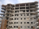 QIH Update February 2009