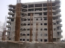 QIH Update February 2009