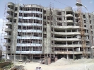  QIH Update June 2009