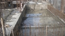 QIH Update March 2009