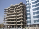 QIH Update March 2010