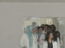 QIH Update March 2011