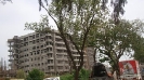  QIH Update May 2009