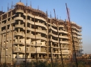 QIH Update November 2008