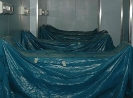 QIH Update November 2011